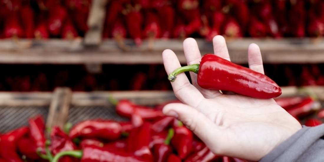 Photo d'une main qui tient un piment d'Espelette