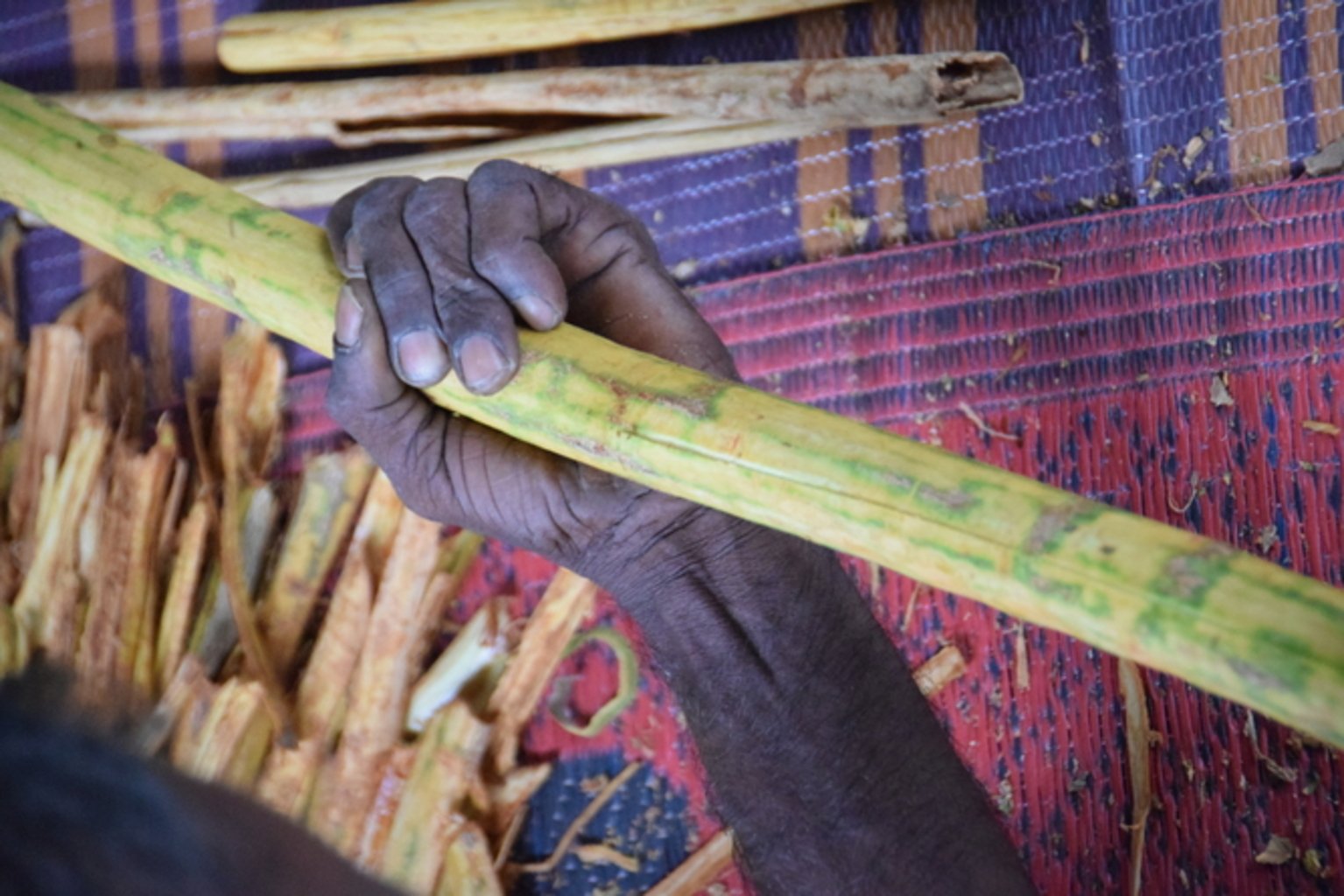 Photo d'une tige de cannelier dans la main d'un homme