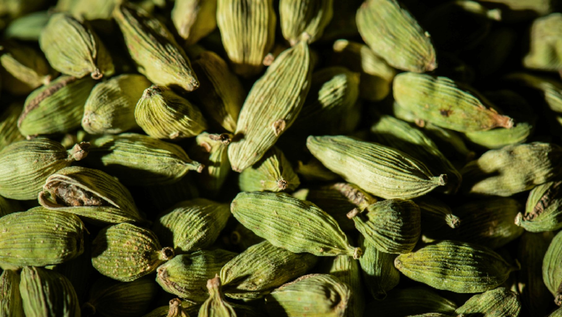 Photo de capsules vertes de cardamome