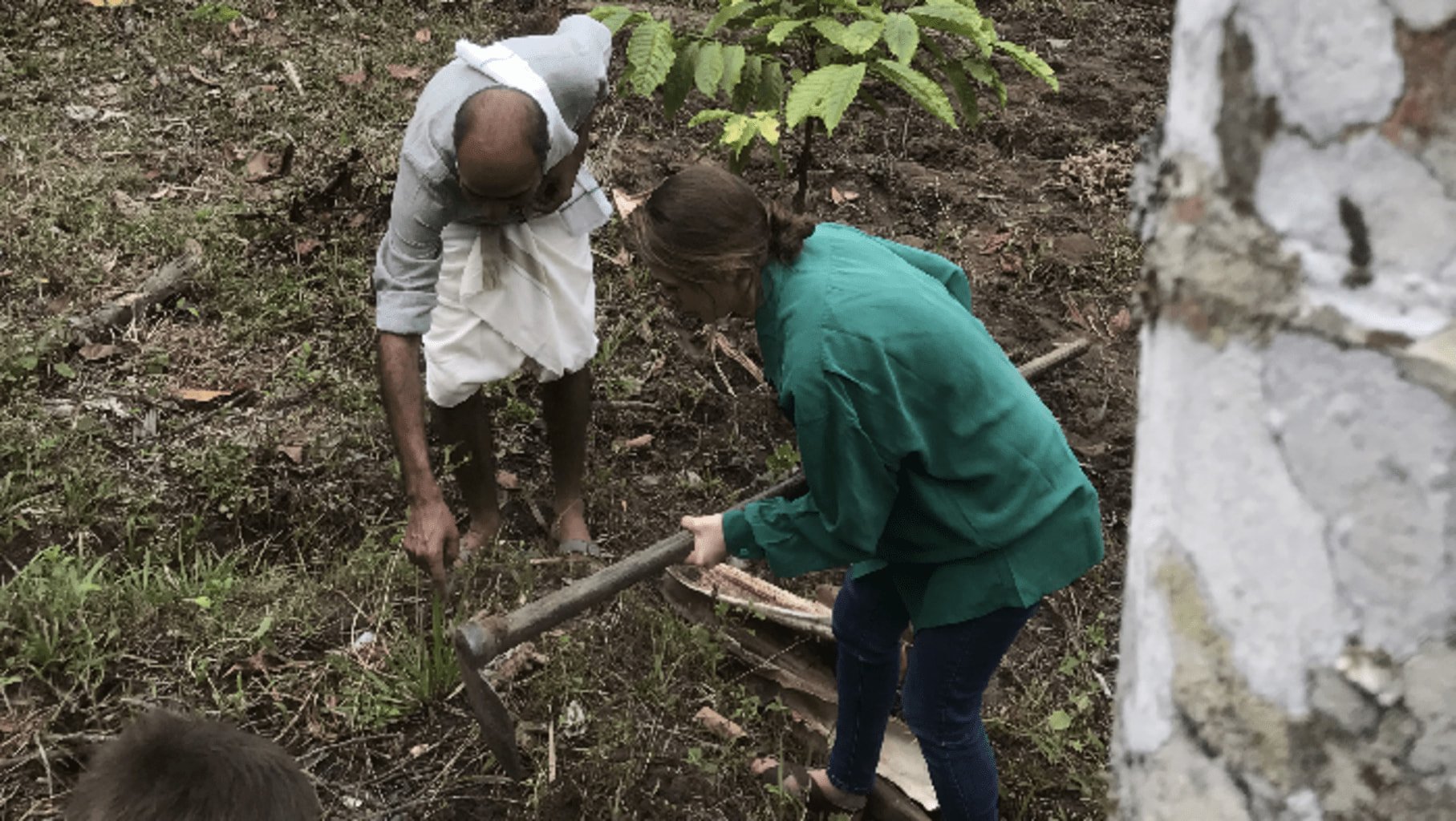 Photo de Mathilde Roellinger qui récolte du gingembre avec un producteur indien