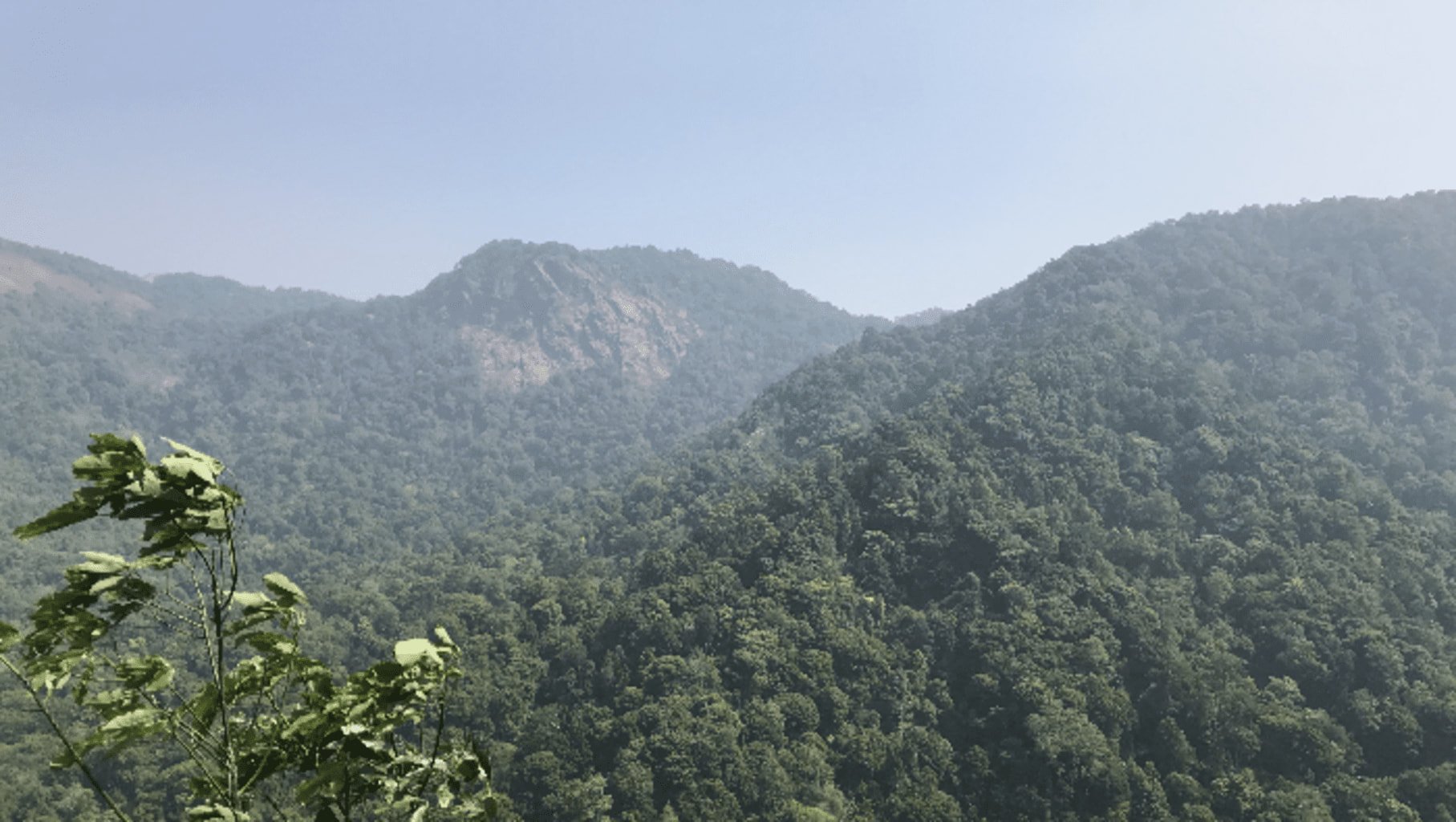 Photo de la vallée du Kerala en Inde