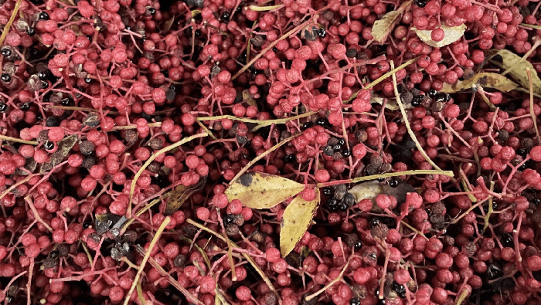 Photo de grains de poivre de Sichuan à l'état brut