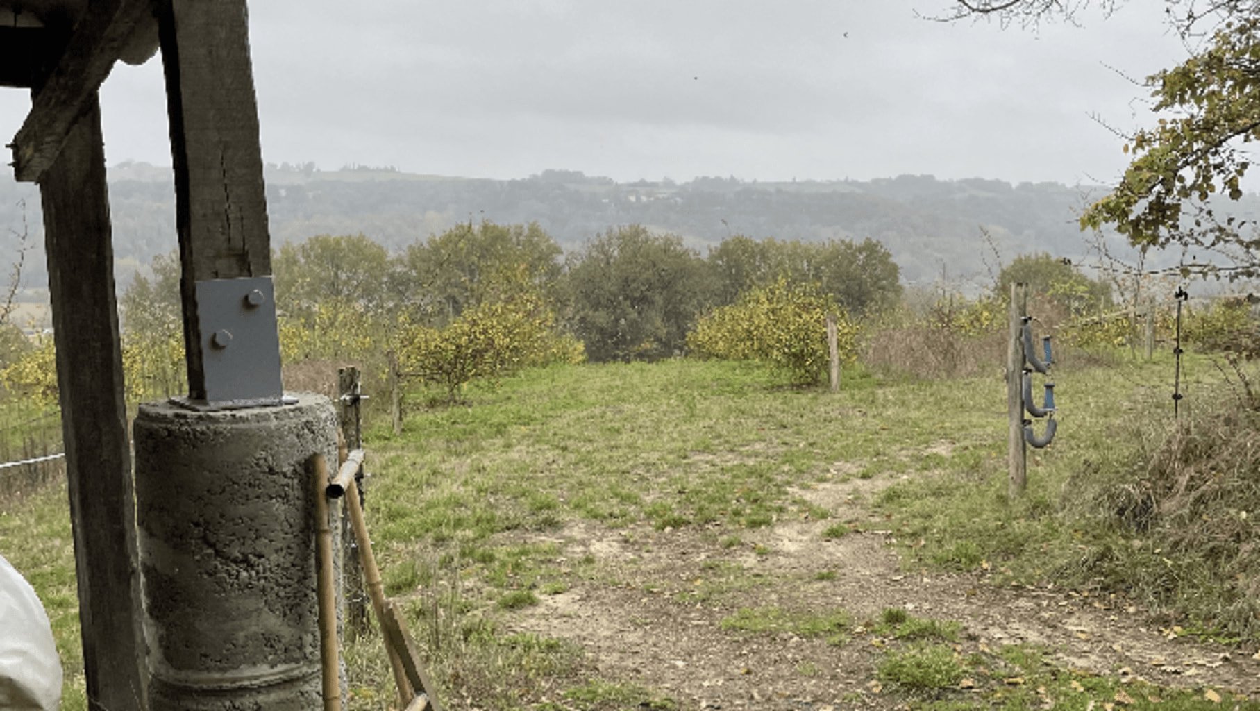 Photo de la culture de poivre de Sichuan dans le Sud Ouest de la France