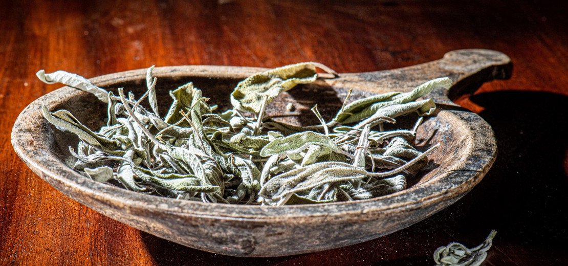 Illustration herbes aromatiques